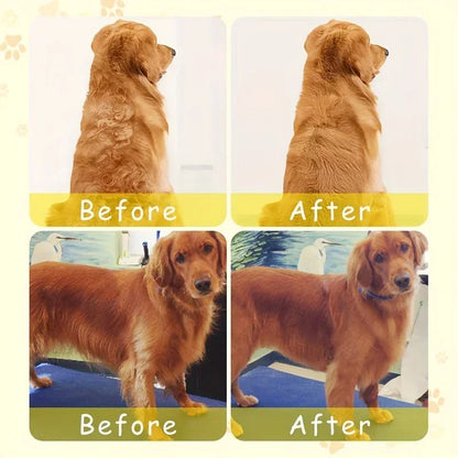 3 in 1 Pet Brush Cat Steam Brush Comb Dog Brush Electric Spray Cat Hair Brushes Massage Pet Grooming Hair Removal Combs